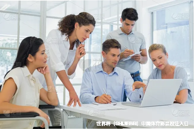 核心团队，数据专家